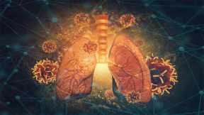 New Cell Atlas of COVID Lungs Reveals Why SARS-CoV-2 Is Different and Deadly