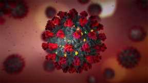 Hormone Drugs May Disarm Coronavirus Spike Protein and Stop COVID-19 Disease Progression