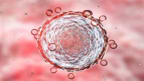 Survival of Critically Ill COVID-19 Patients Doubled by Birth Cord Stem Cell Treatment