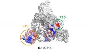 Structural Changes Identified in COVID Alpha and Beta Variants – Suggests Need for Updated Vaccine Booster