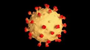 SARS-CoV-2 Virus Can Find Alternate Route to Infect Cells