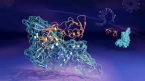 Scientists Catch Shape-Shifting Coronavirus Protein Complex in the Act