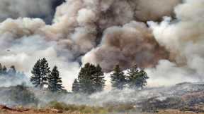 Wildfire Smoke Exposure May Greatly Increase Risk of Contracting COVID-19