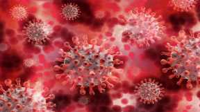 Blood Test Can Track the Evolution of COVID-19 Coronavirus Infection