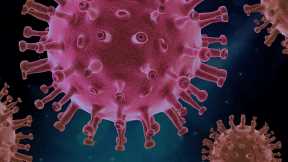 Spike Protein Docking Site Is Achilles’ Heel of the Coronavirus
