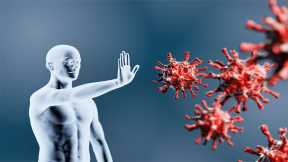 One Coronavirus Vaccine Can Provide Broad Immunity Against Other Coronaviruses
