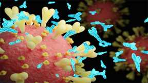 Exposure to Harmless Coronaviruses Boosts COVID-19 Immunity