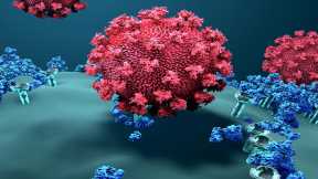 Virus Mimicking Antibodies May Explain Long Haul COVID-19, Rare Vaccine Side Effects